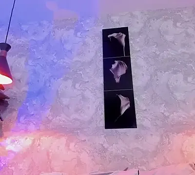 melodyrosee