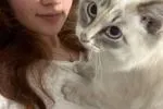 My cat Mikey
