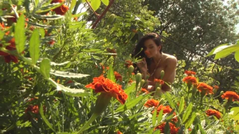 Erotias