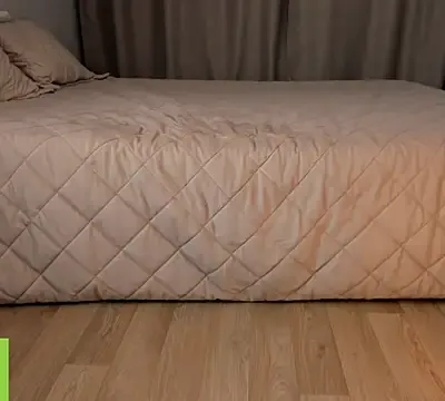 Vanaldienn