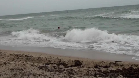 Milf Hunter: Beachside Babes and Big Swells