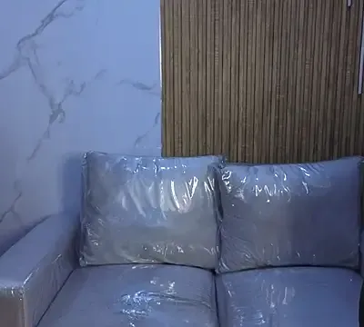 Kitten_Cam