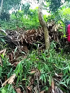 xiaogoal