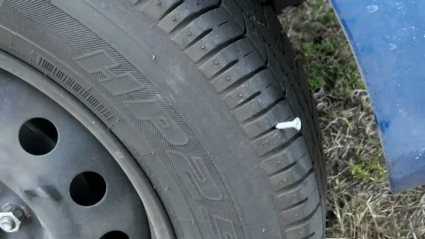 Reality Kings: Tire Tread Treats