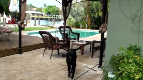 Milf Hunter: Unexpected Visitor's Surprising Treat