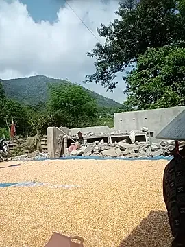 Mai-lingg