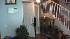 She Holds Her Belly Down While He Deepthroats And Dumps