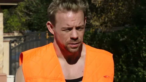 Digital Playground: Everhard Takes Stevie