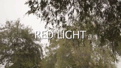 Wicked Features: Blowjob Queen Takes Charge in Nature