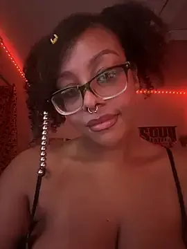 nintendhoe