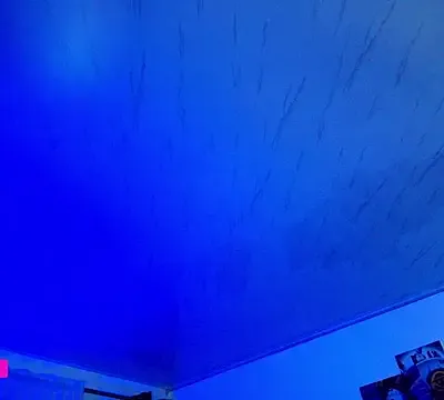 Nicorobinn