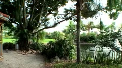 Street BlowJobs: When Fate Brings Us Together by the Lake