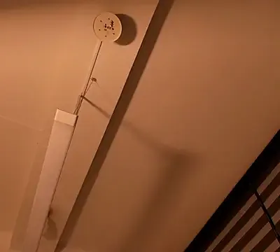 CharlotePetite_
