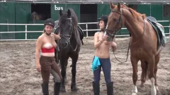video art holland: Under the Sun: A Titillating Ride