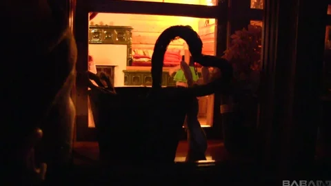 video art holland: The Chalet of Twisted Fantasies