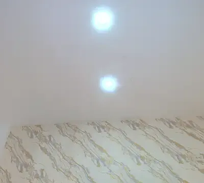sofi_delight