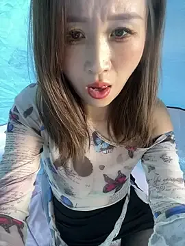 qin205205