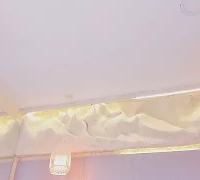 Isabella_Daniell