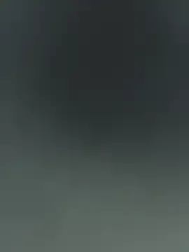 rittikap133