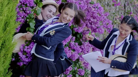harmony films: Stella's Secret Garden