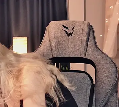 MaoqiBeverly