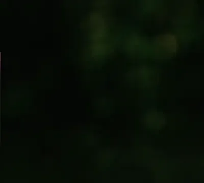 _M_i_a___