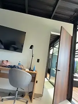 Palmer__