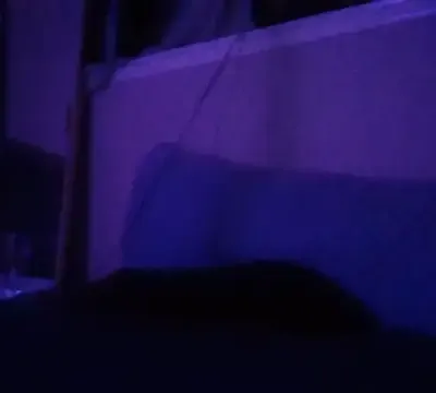 1n0nlythroat