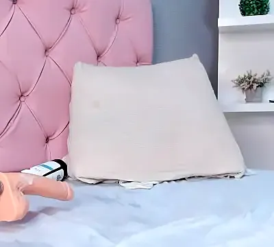 Isabella_falcon