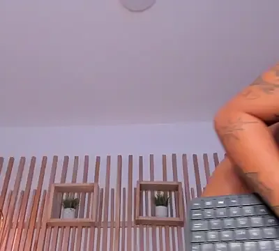 reshi_hevss