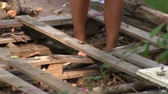 Daily Sex Dose: Jungle Rhapsody: Two Lost Souls Find Passion