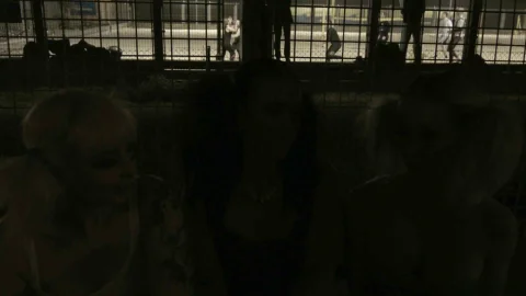 paradise film: Blonde Bitches Fist Fight