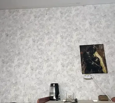 AriaFlyFerrari