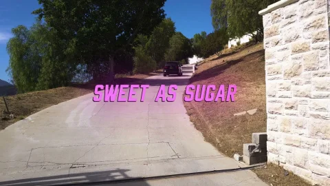 Digital Playground: Sugar Baby Training