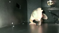 Gloryhole Secrets: Hardcore Fun in High Definition