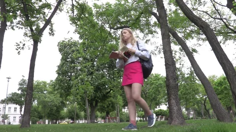 video art holland: Campus Capers: A Professors Passion