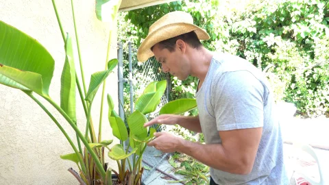 bang! originals: Gardener Fulfills Alix's Needs