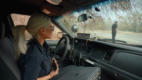 Reality Kings: Highway Humping with Bridgette