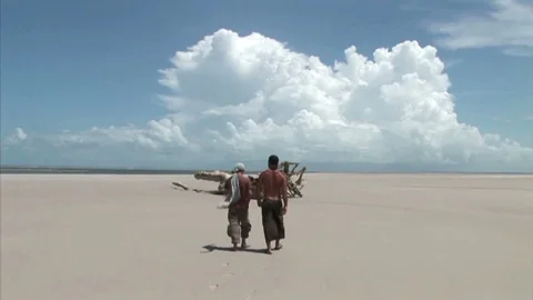 paradise film: Dripping Wet Seaside Fun