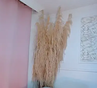 Danella_houston