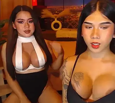 TRANSPORNIDOL