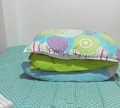 Abby_moons