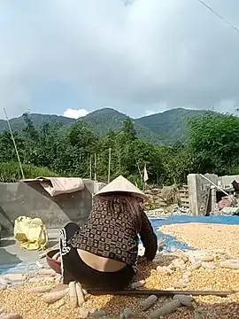 Mai-lingg