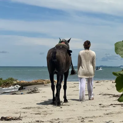 A horse doesn't need words to understand you