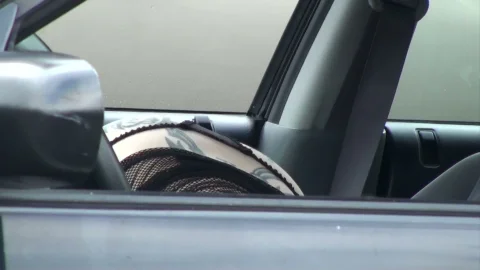 Mofos: Paul and His Unholy Parking Lot Union