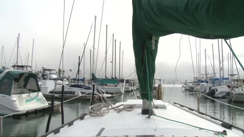 Nasty Step Family: Tossing and Turning on the High Seas