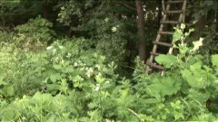 third world media: Nude Nature Stroll