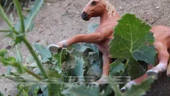 Stormy Daniels: Blowjob Royalty with De Sergio