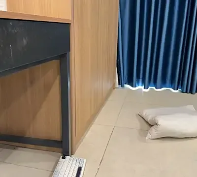 icydiva