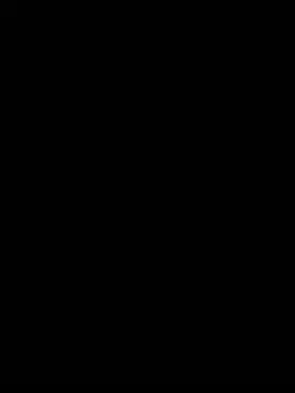 SaryJonex